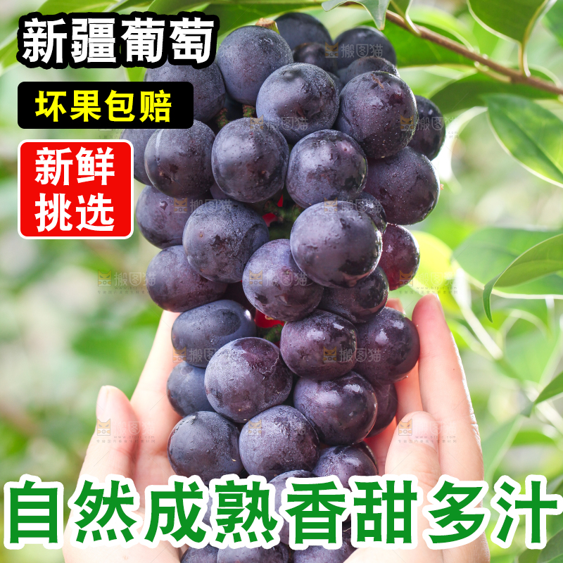 手拿一串新鲜葡萄