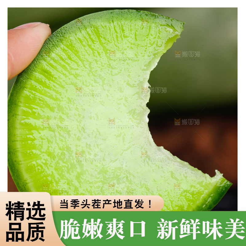 手里拿着青萝卜