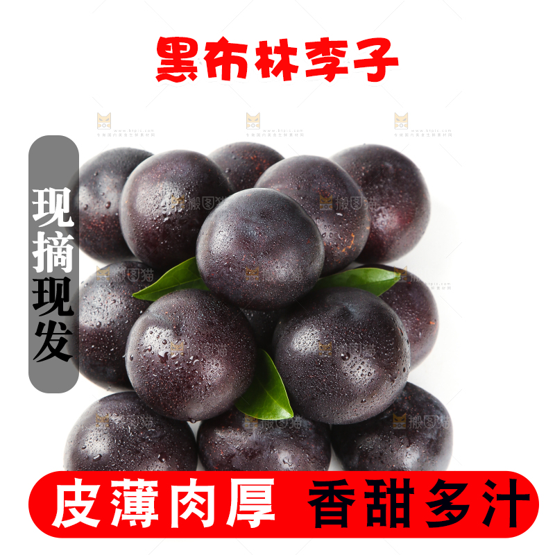 白底上放着智利黑布李
