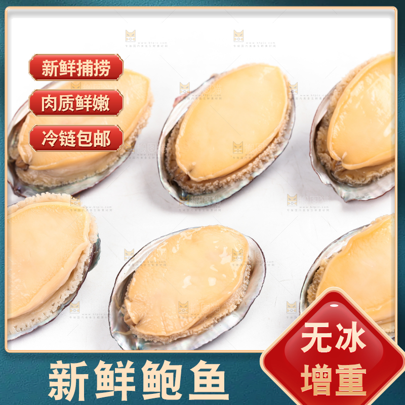 白底上放着新鲜剥开的活动大鲍鱼