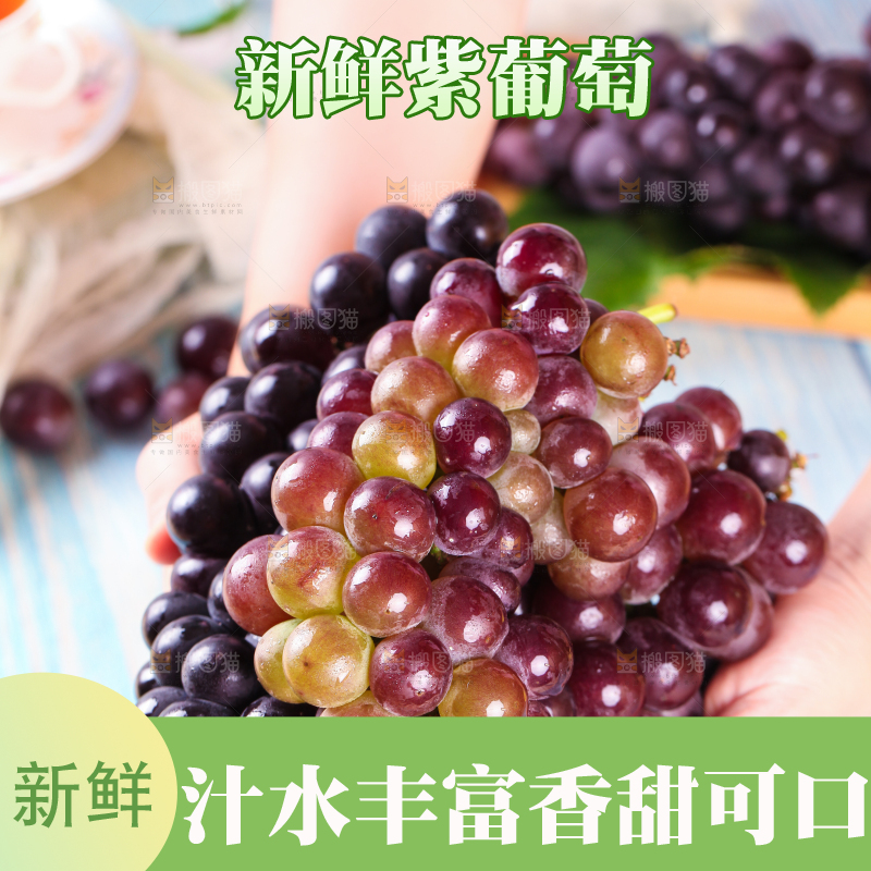 手拿东北巨峰葡萄