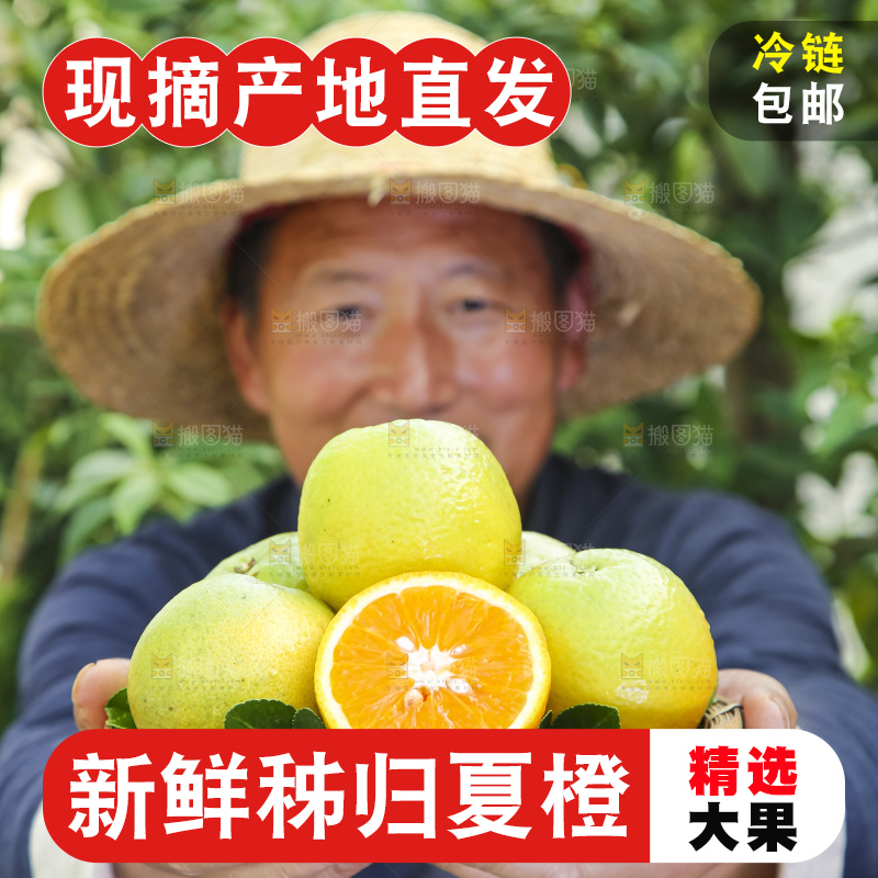 农民手拿一盘夏橙