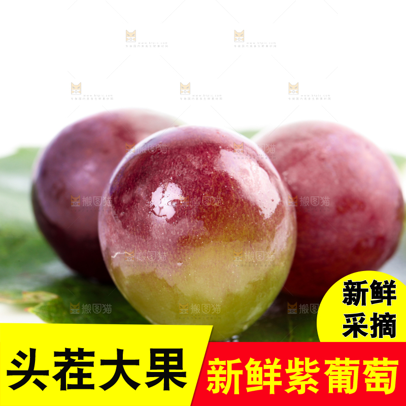 白底上的新鲜巨峰葡萄