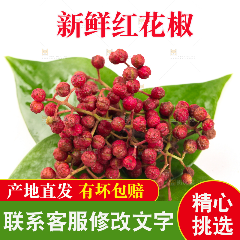 叶子上的新鲜花椒