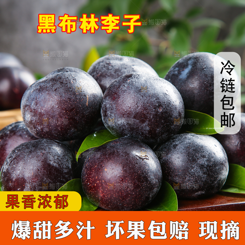 木底上放着智利黑布林
