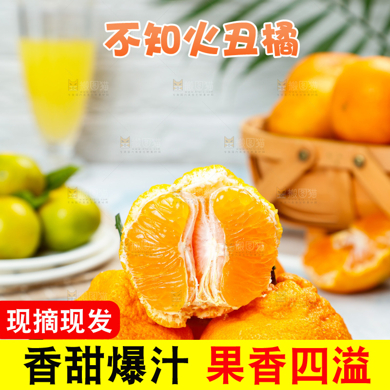 碟子里装着丑八怪