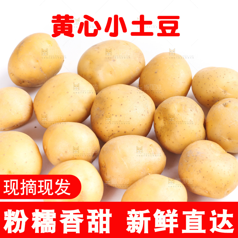 白底上的小土豆