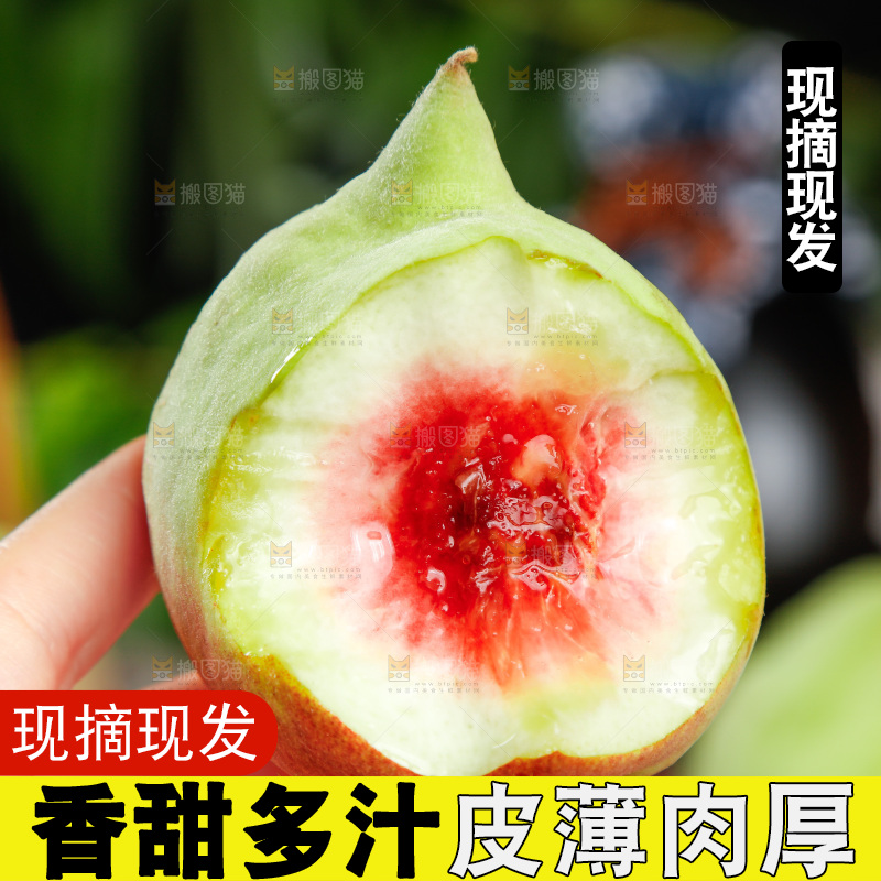 手拿鹰嘴桃
