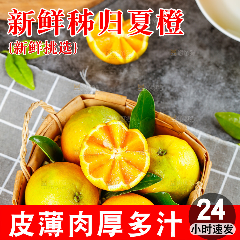 格子布上放着一筐夏橙
