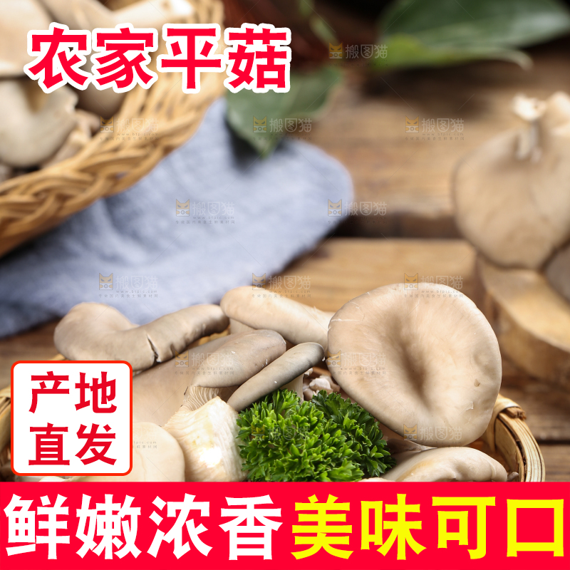 篮子里装着平菇