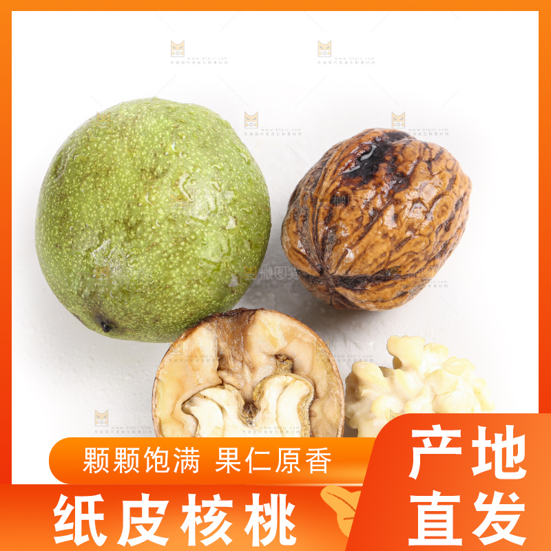 白底上的新鲜湿核桃