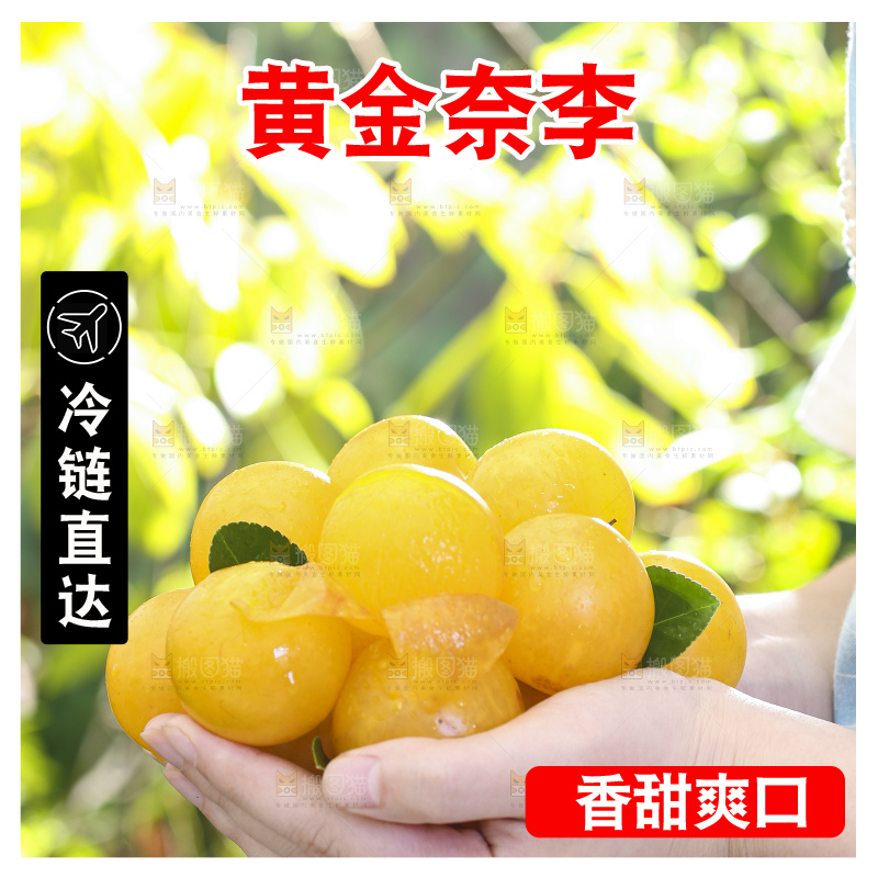 手拿黄金奈李