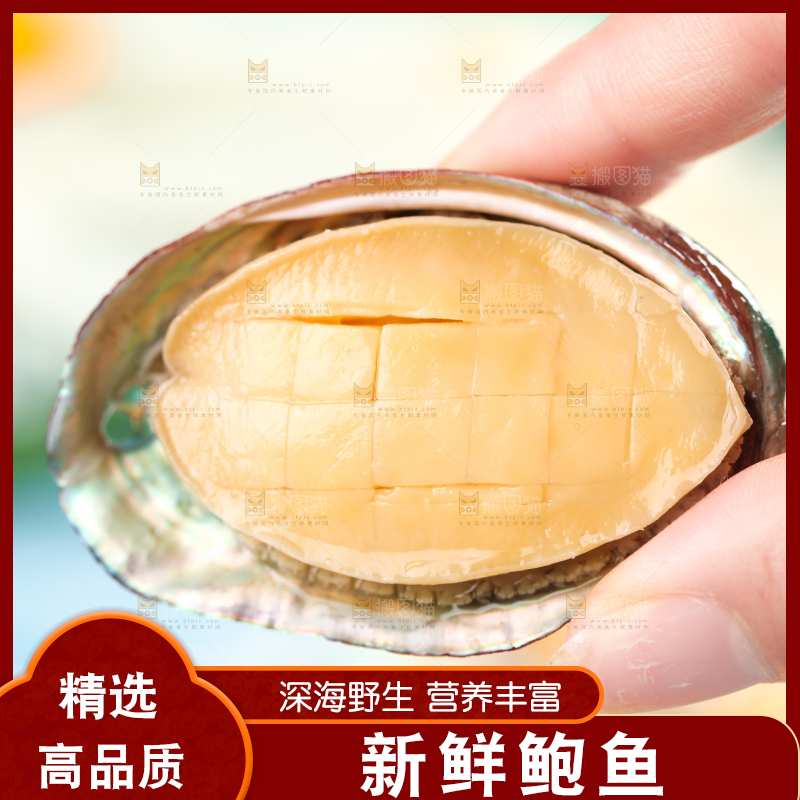 手拿鲍鱼