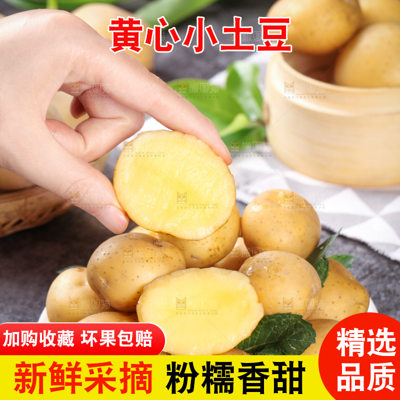 手拿切开的黄心小土豆