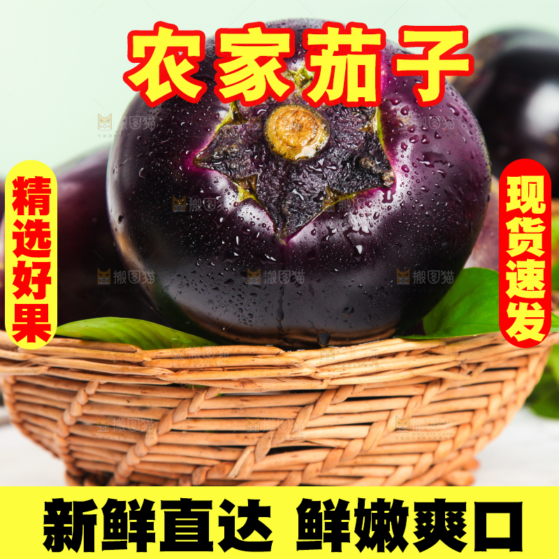 石板上放着一筐紫圆茄子