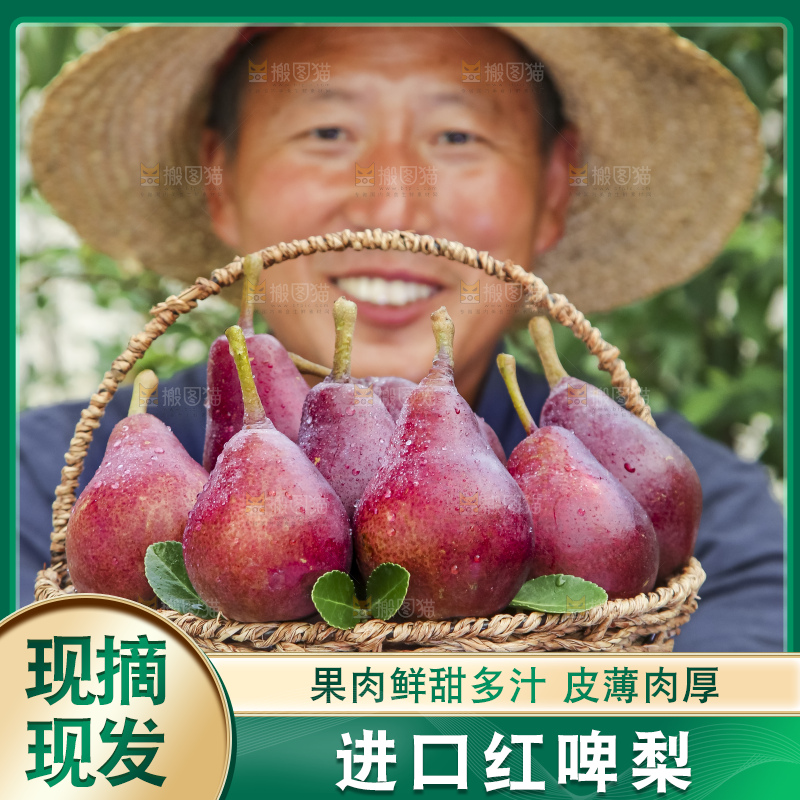 农民端着一筐红啤梨
