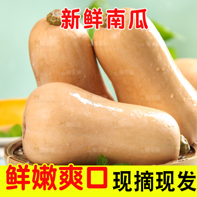 蓝底上放着一盘奶油南瓜