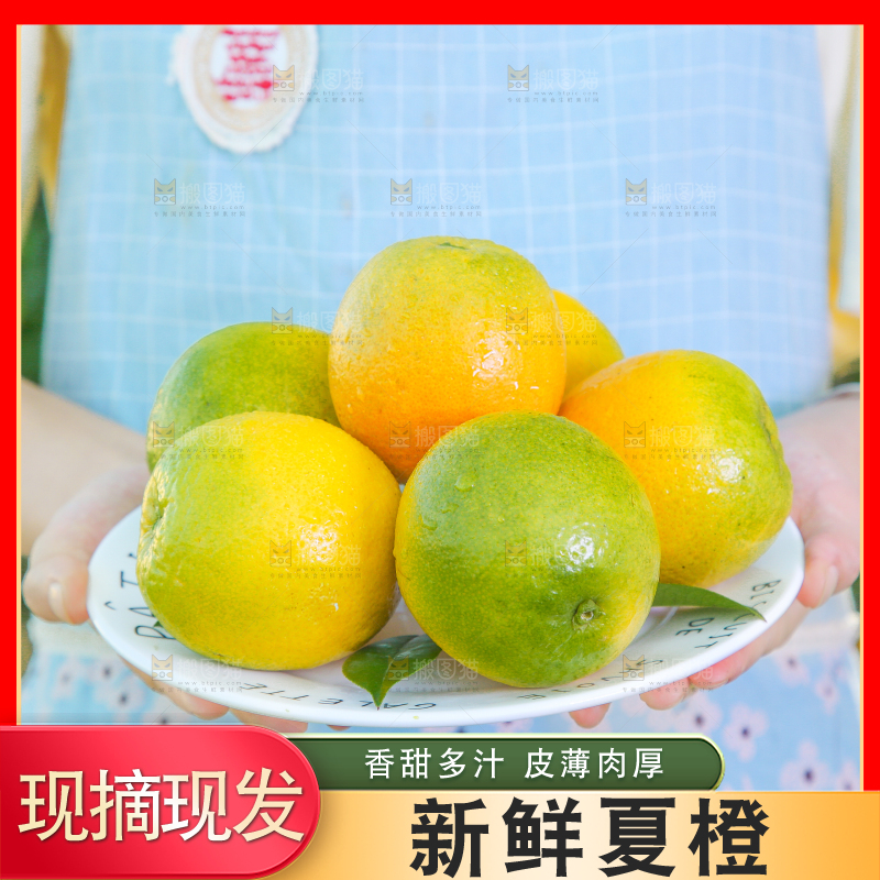 手端一盘夏橙