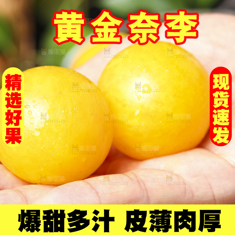 手拿黄金奈李