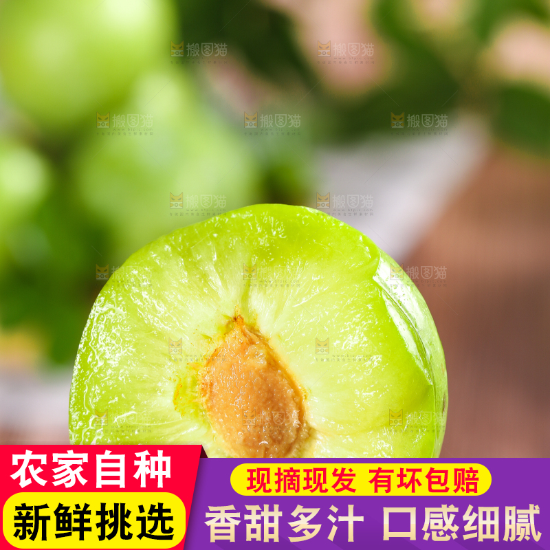 手拿掰开的青奈李