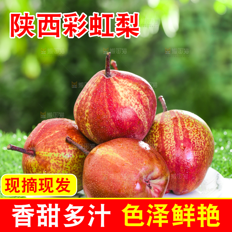 草地上放着一盘彩虹梨
