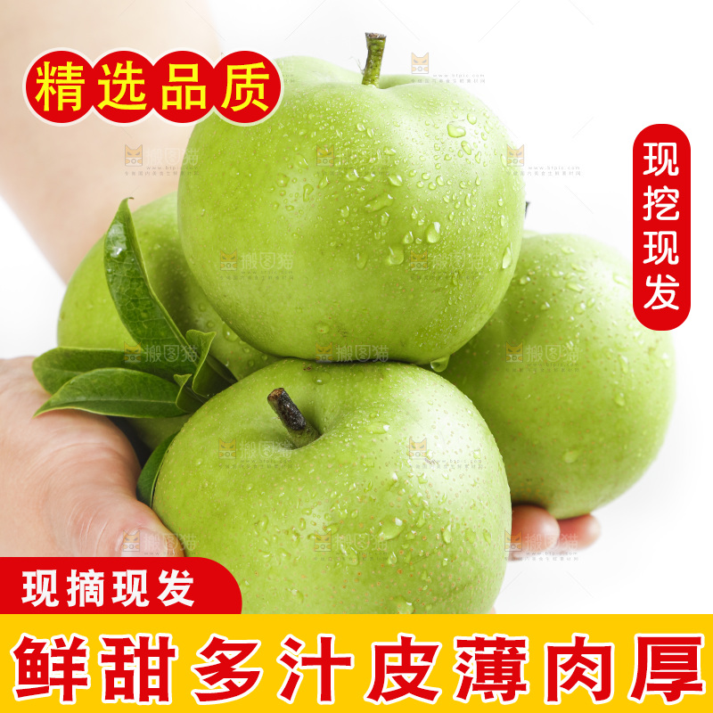 白底上手拿着的砀山苹果梨