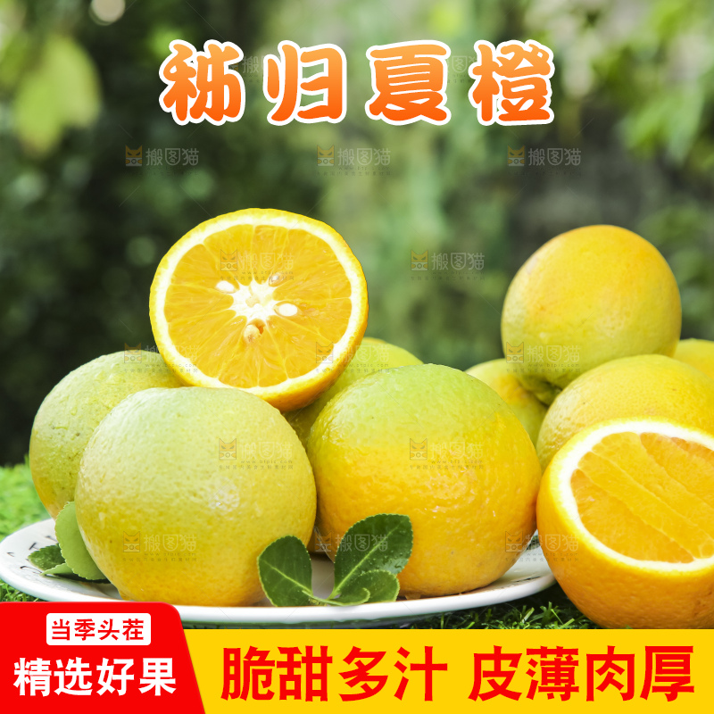 草地上放着一盘切开的秭归夏橙