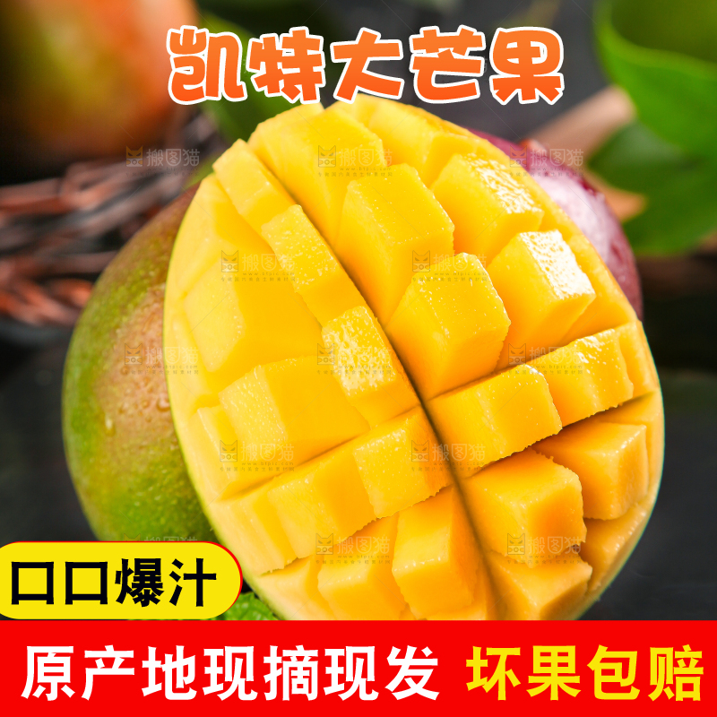 凯特芒主图