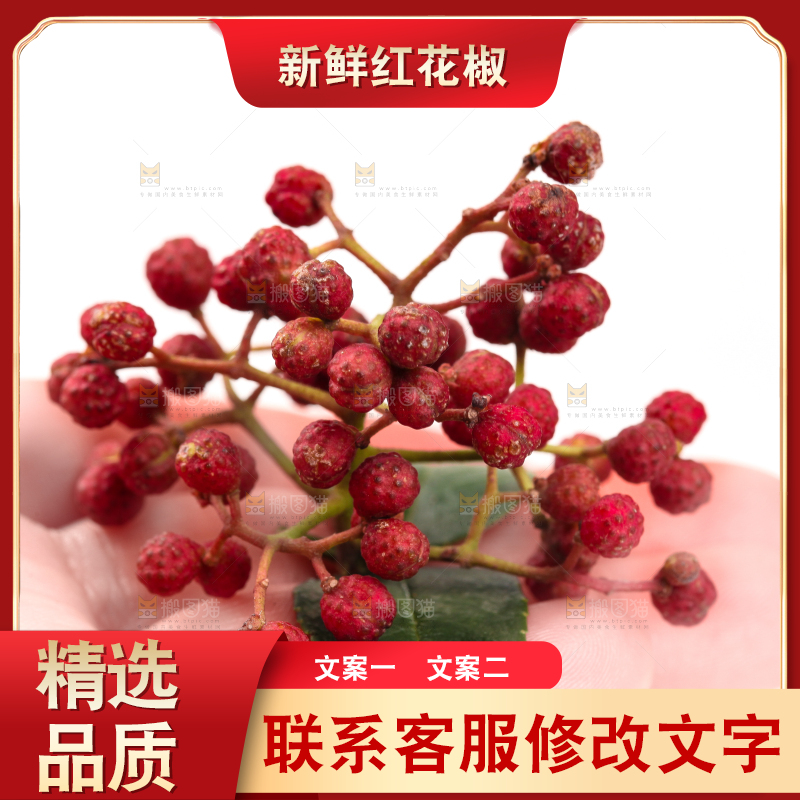 手拿新鲜花椒
