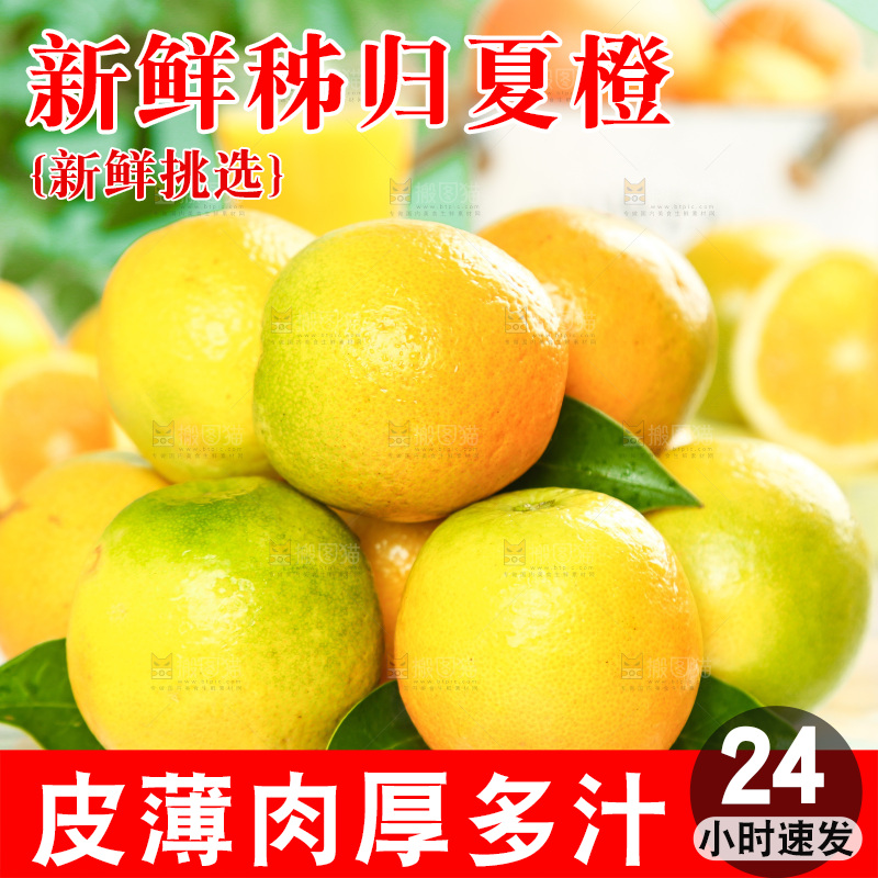石板上的秭归夏橙
