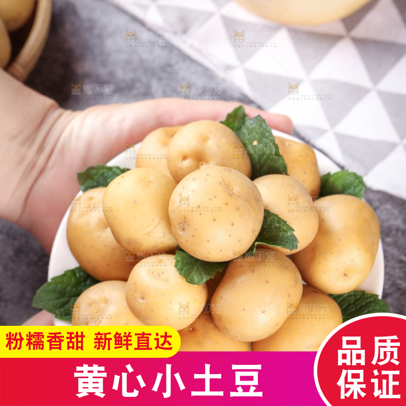 手端一盘云南小土豆