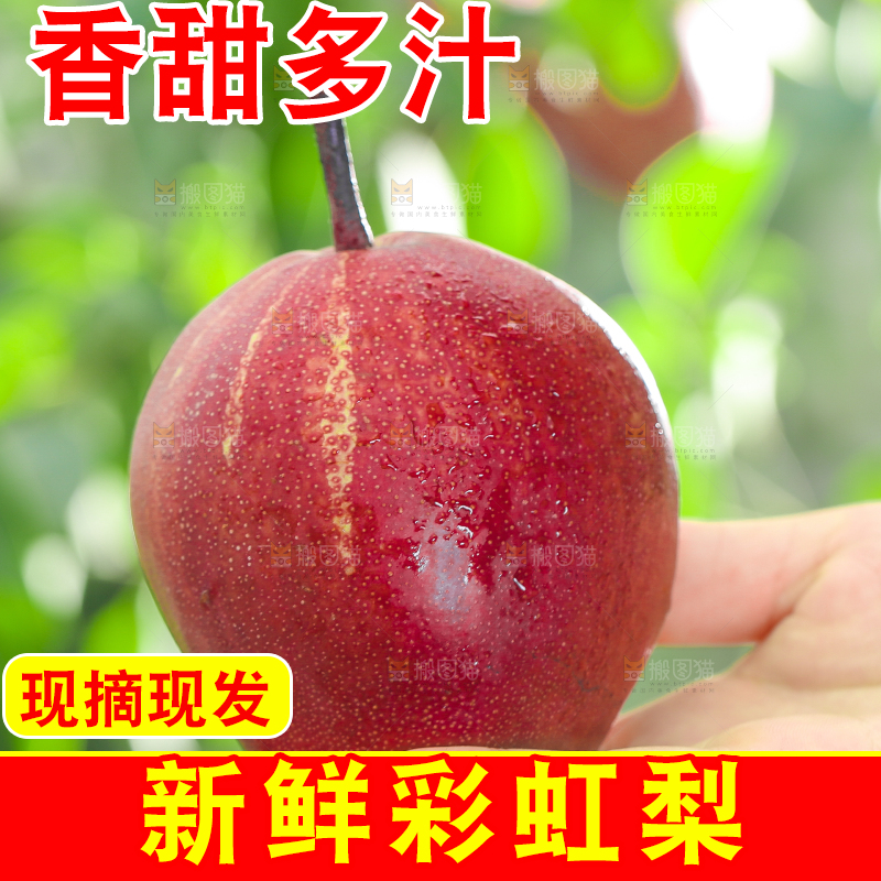 手拿彩虹梨