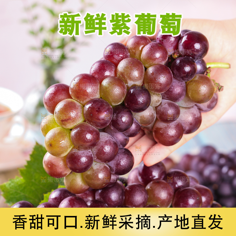 手拿东北巨峰葡萄