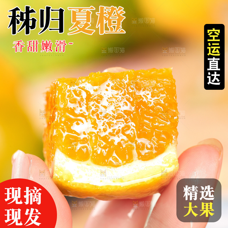 手拿切开的秭归夏橙