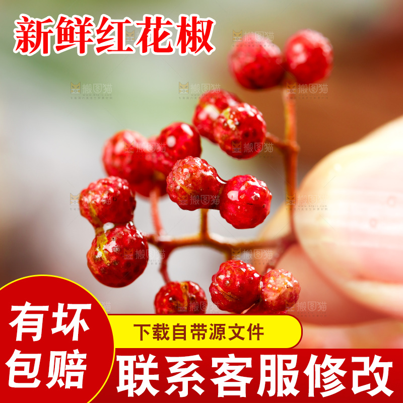 手拿新鲜花椒