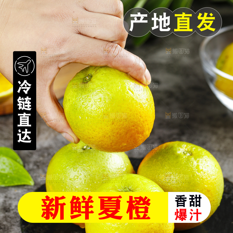 手拿秭归夏橙