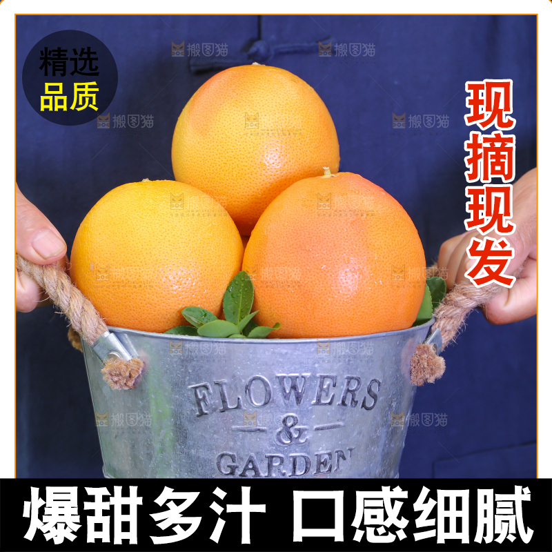 手里拿着红心西柚