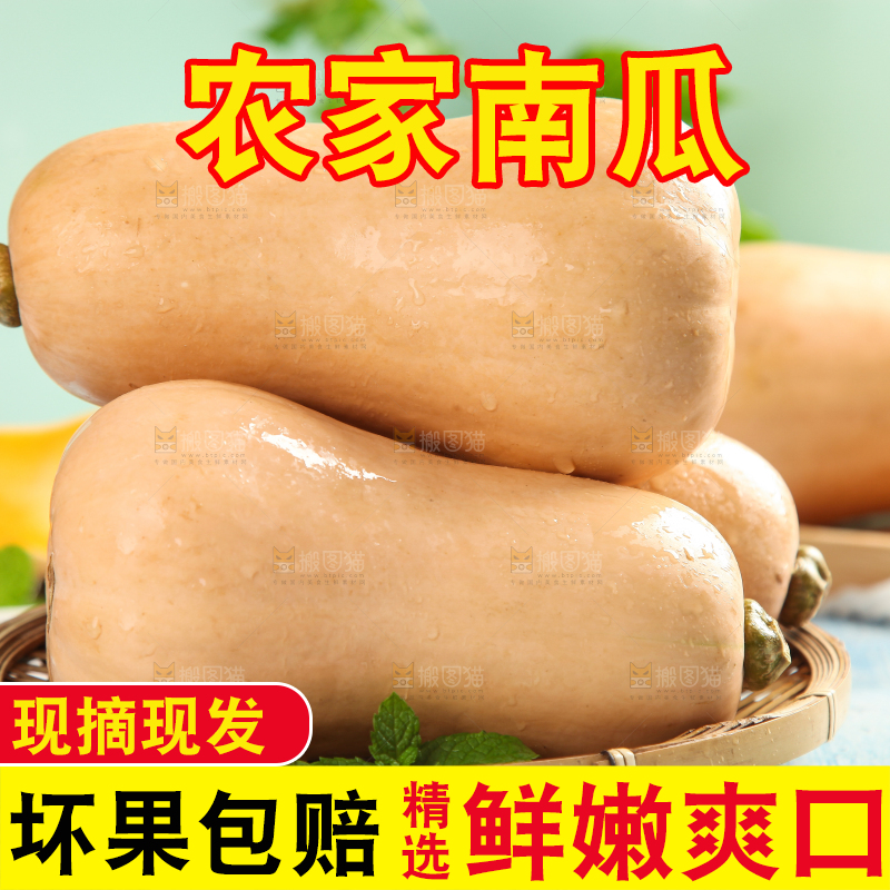 蓝底上放着一盘奶油南瓜