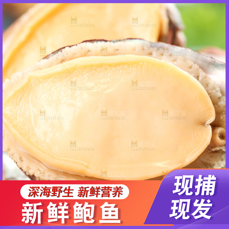 木底上放着鲜冻鲍鱼
