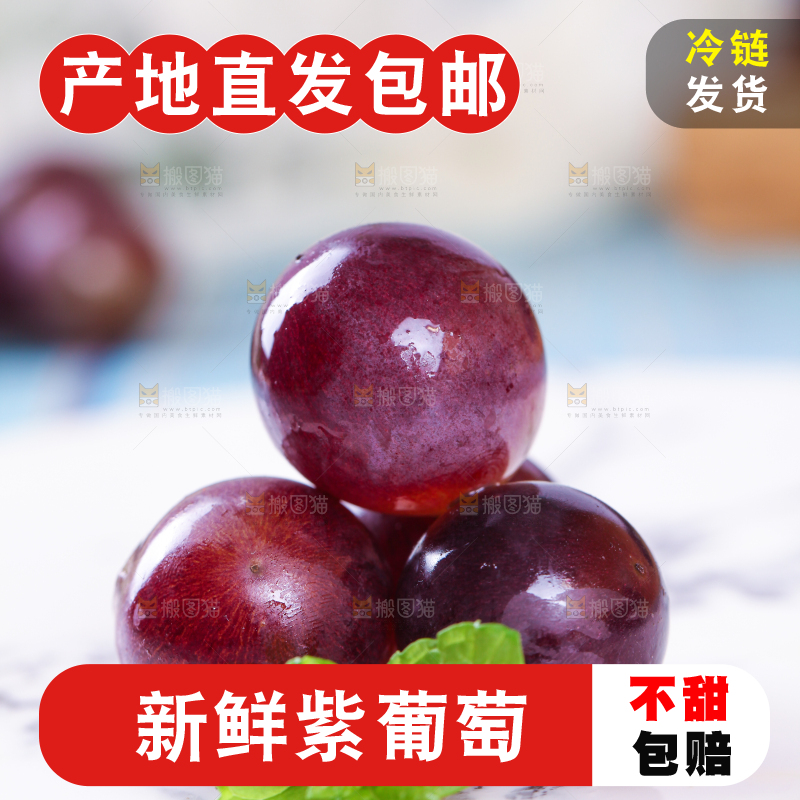 蓝底上放着一盘东北巨峰葡萄