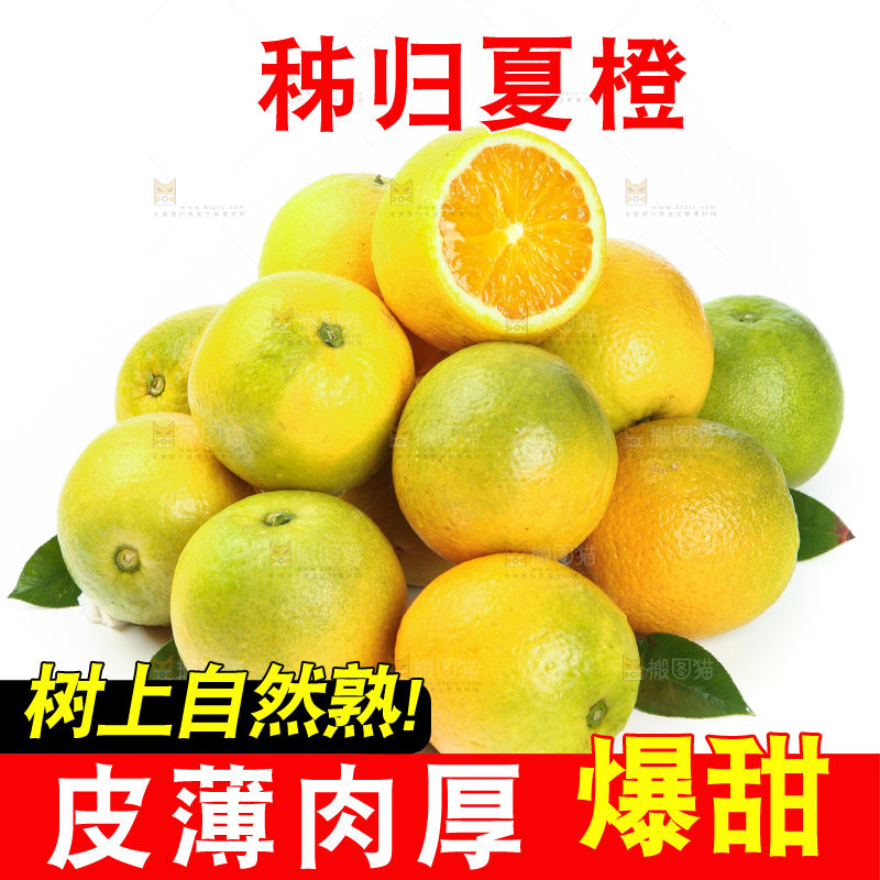白底上放着切开的夏橙