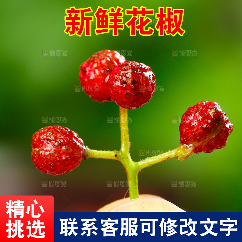 手拿新鲜红花椒
