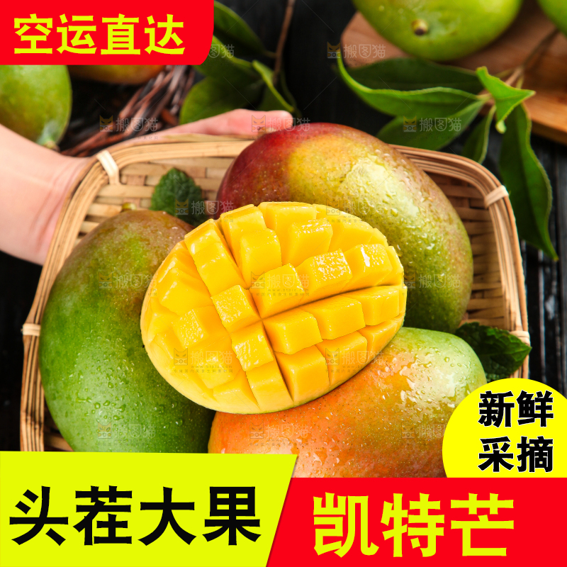 凯特芒主图