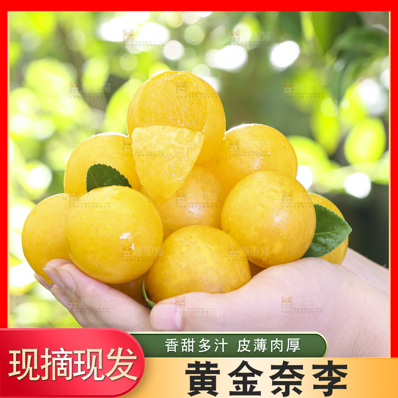 手拿黄金奈李