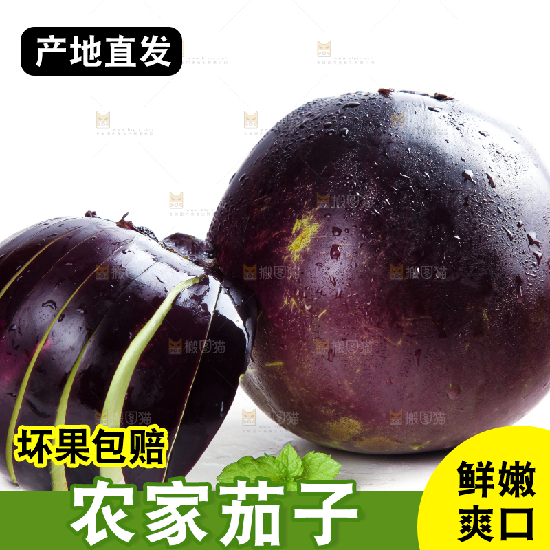 切开的紫皮圆茄子放在白底上