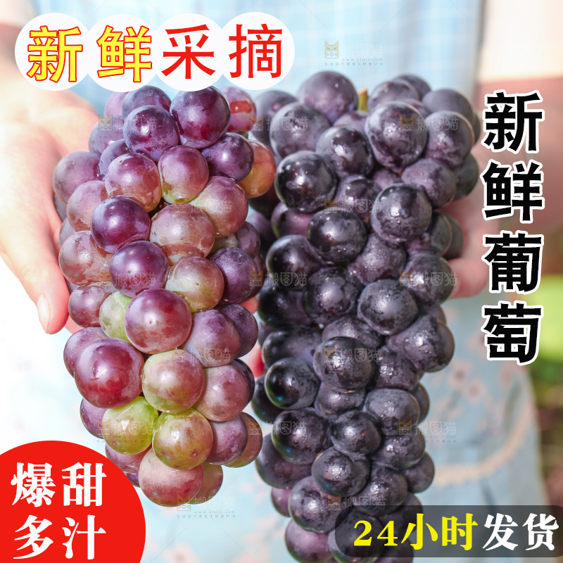 手拿东北巨峰葡萄