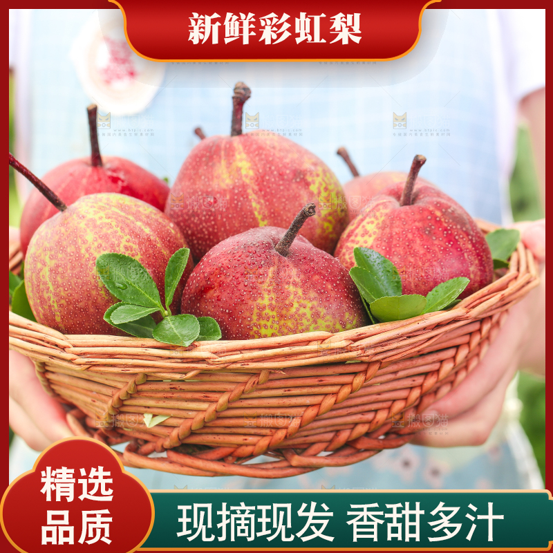 手端一筐陕西彩虹梨