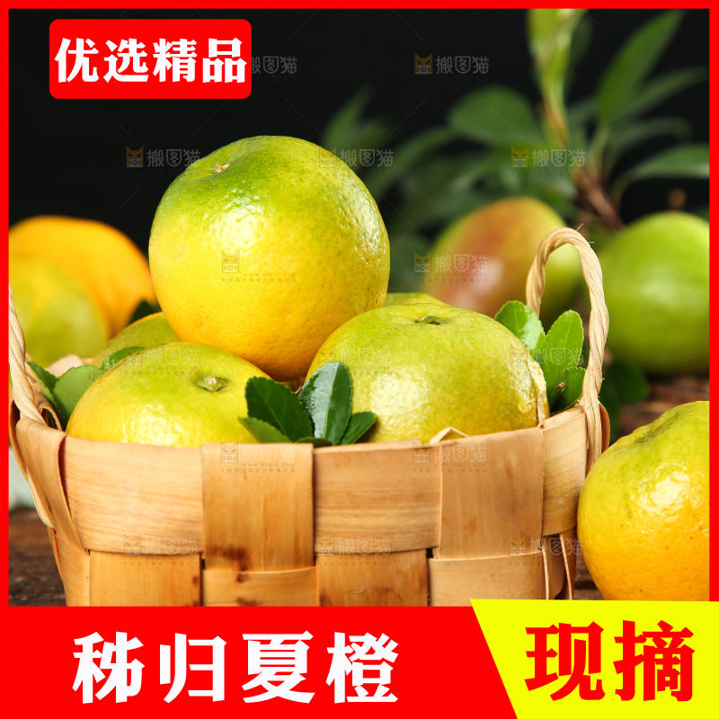木底上的夏橙