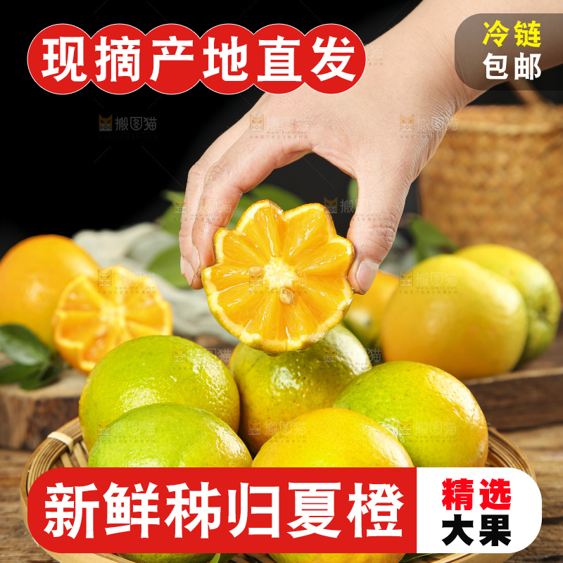 手拿切开的夏橙