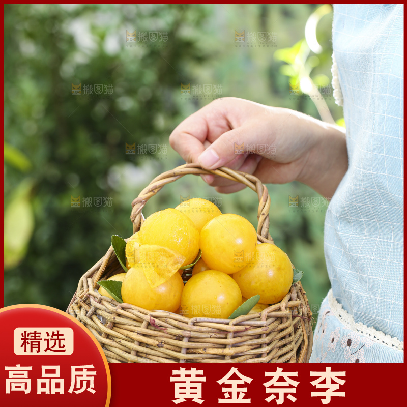 手拿一筐黄金奈李